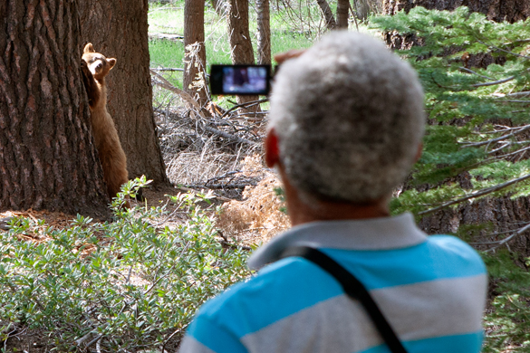 Camera Cultures: Technosocial Theaters of the Photographic Event